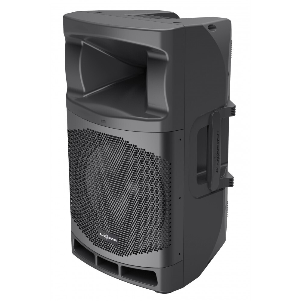 Audiocenter MA12 активная акустическая система в Гудермесе