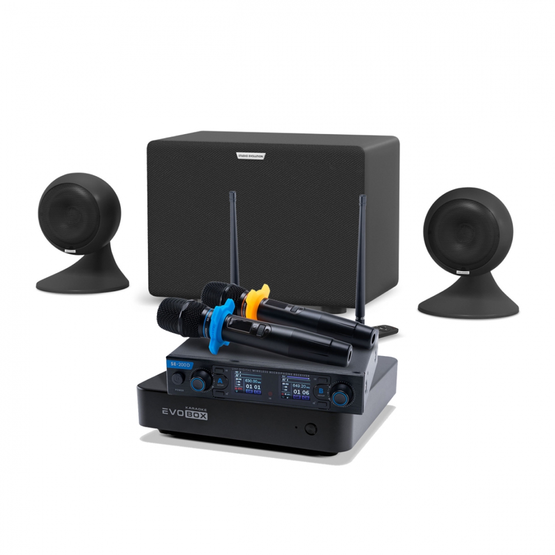 караоке-комплект EVOBOX + EvoSound Sphere 2.1 в Гудермесе