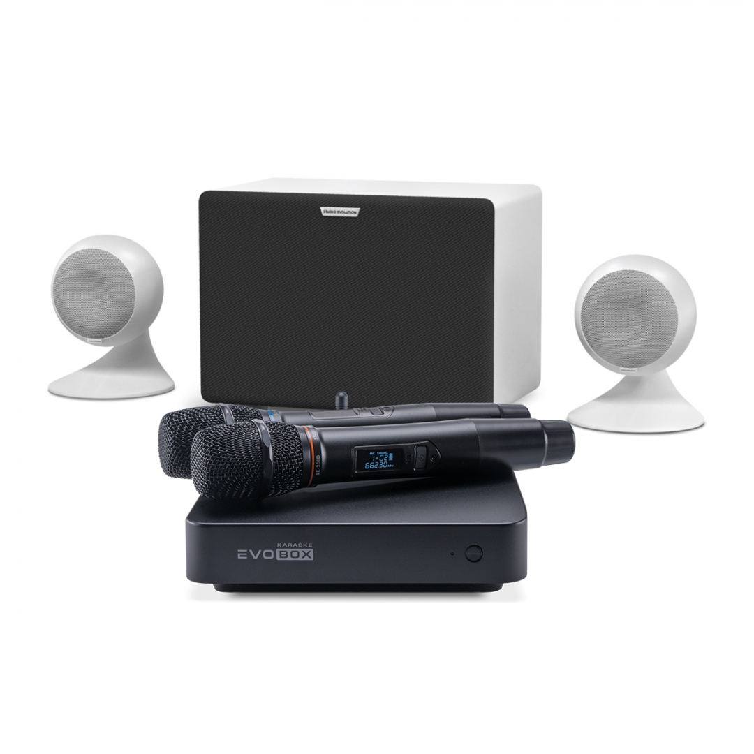 караоке-комплект EVOBOX Classic + EvoSound Sphere 2.1 в Гудермесе
