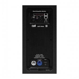 Активная акустическая система AST-310A в Гудермесе