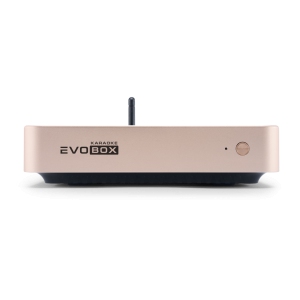 EVOBOX Classic караоке-система для дома в Гудермесе