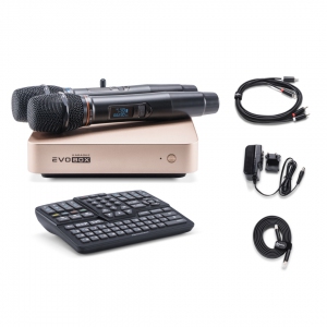 EVOBOX Plus караоке-система для дома в Гудермесе